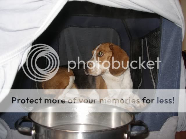 Bild016.jpg