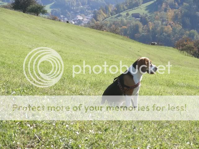 Bild018.jpg