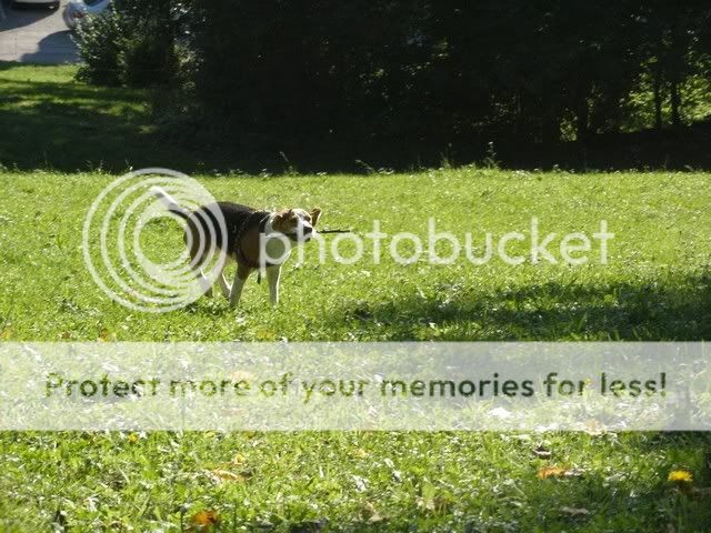 Bild028.jpg
