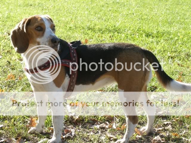 Bild036.jpg