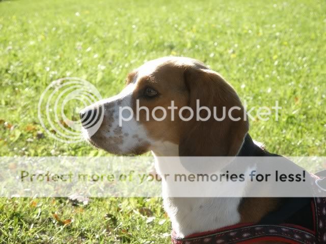 Bild038.jpg