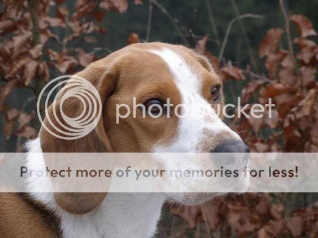 lisaportrait.jpg