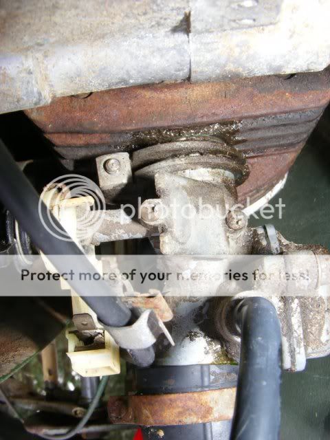 [Linked Image from i515.photobucket.com]