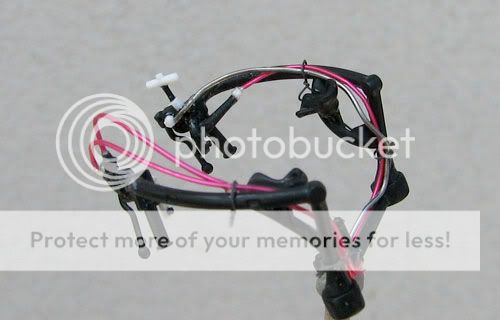 Posted Image