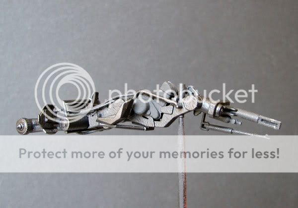 Posted Image