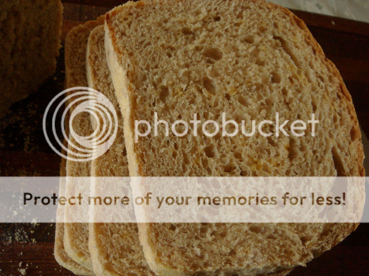 bread texture