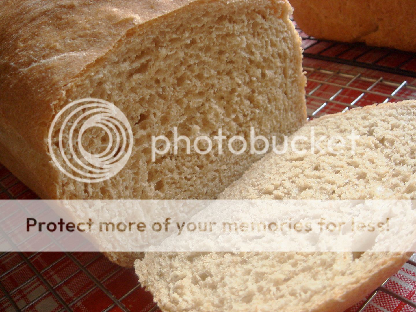 bread innards