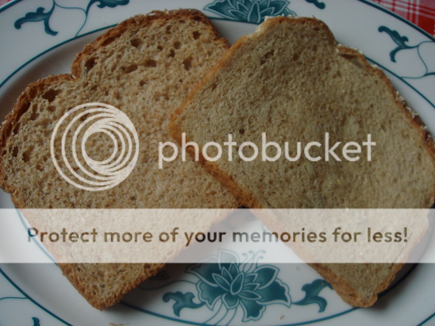 bread slices
