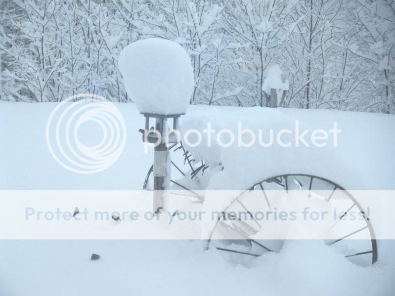 snow12-09.jpg